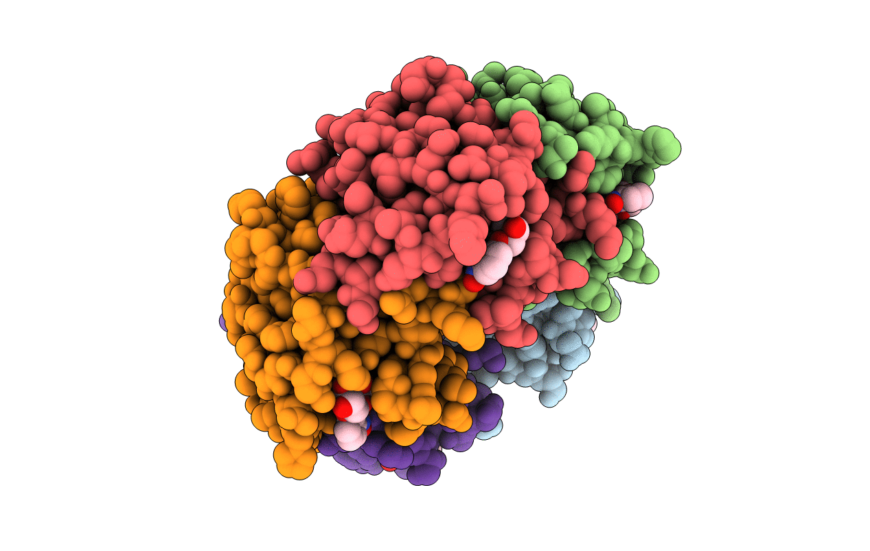 1EEI image