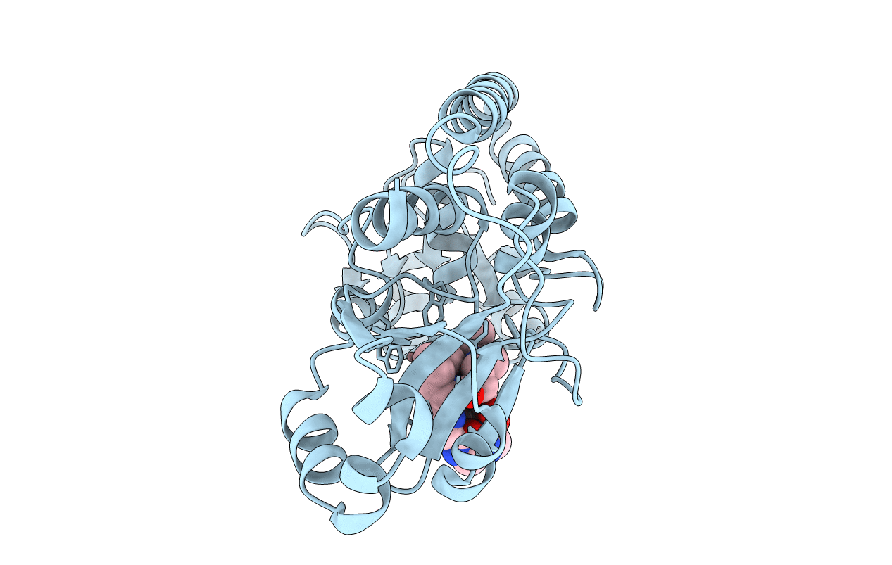 1EFD image