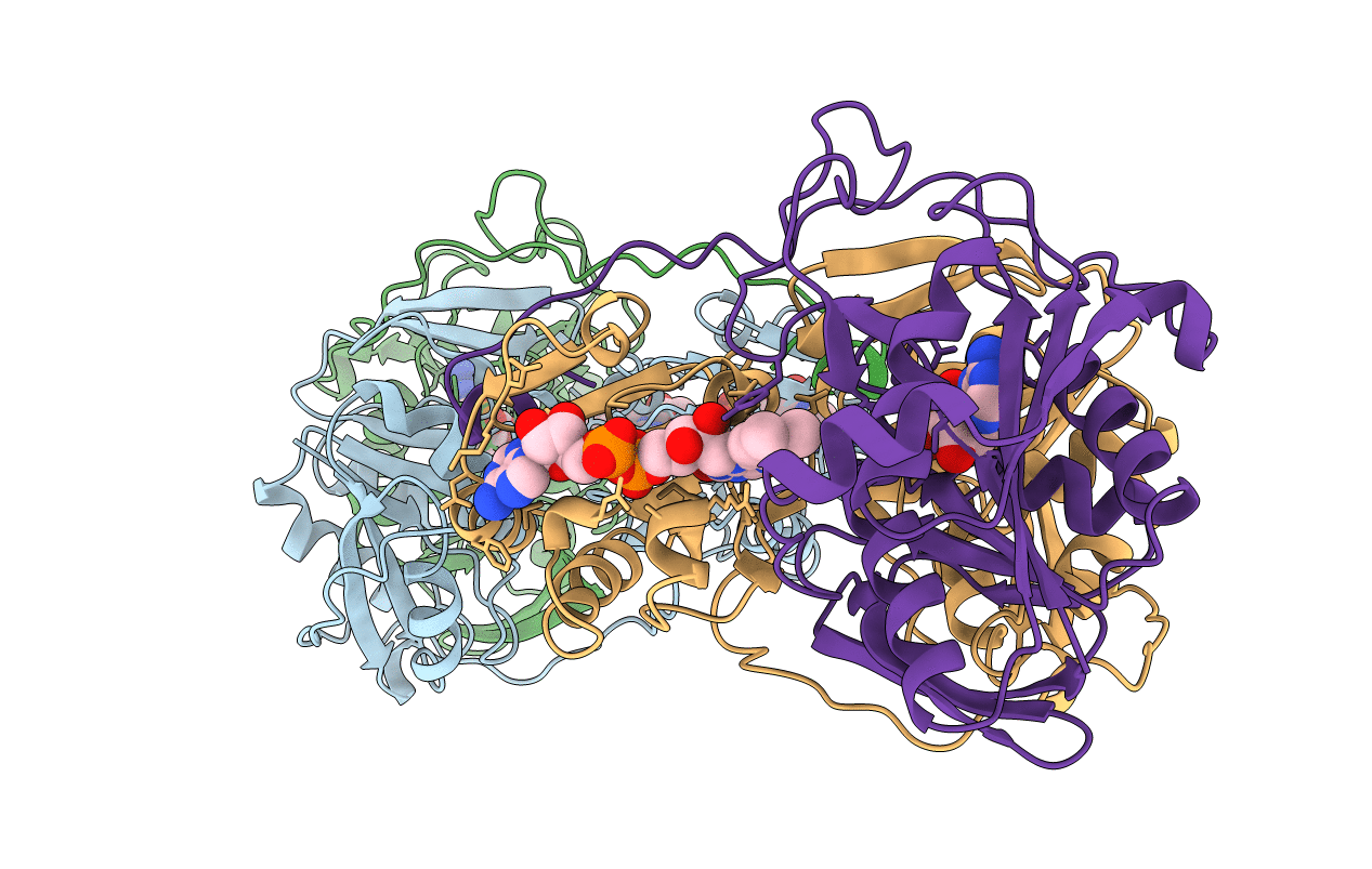 1EFP image