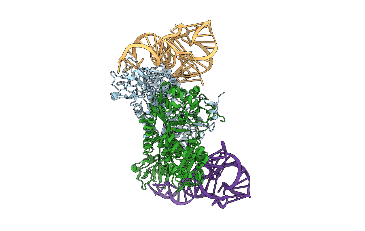 1EFW image