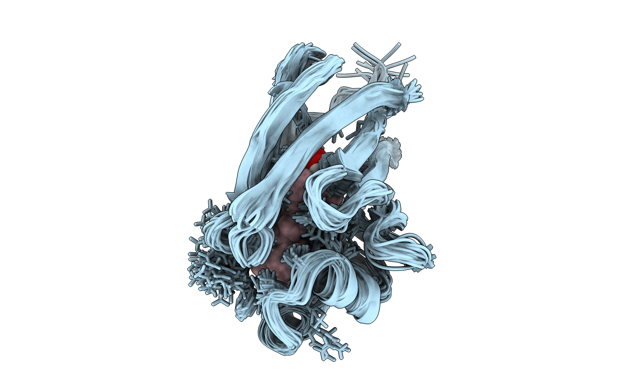 1EII image
