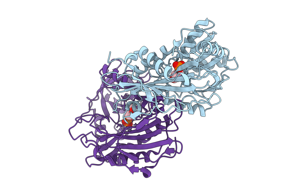 1EKP image