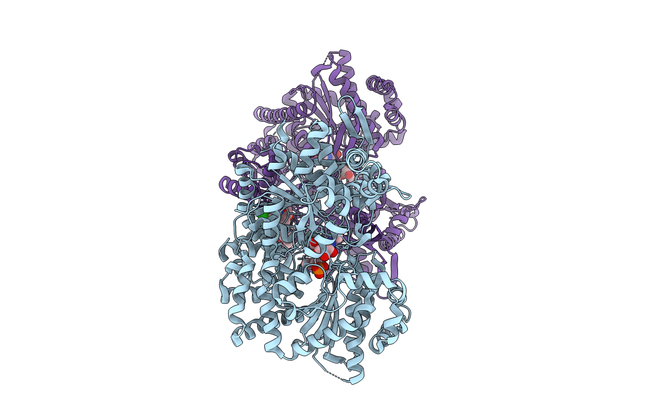 1EM6 image