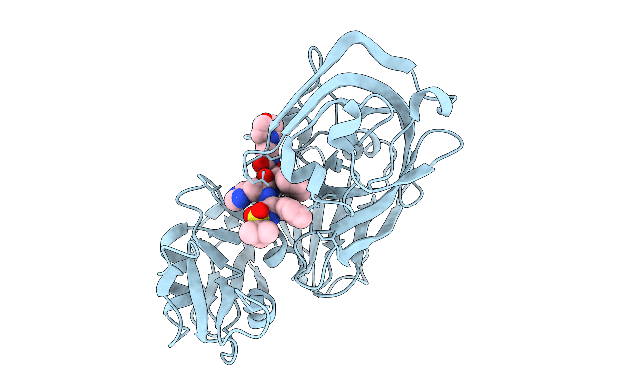 1EPR image