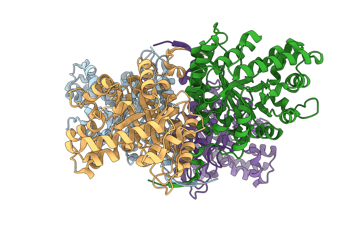 1EPX image