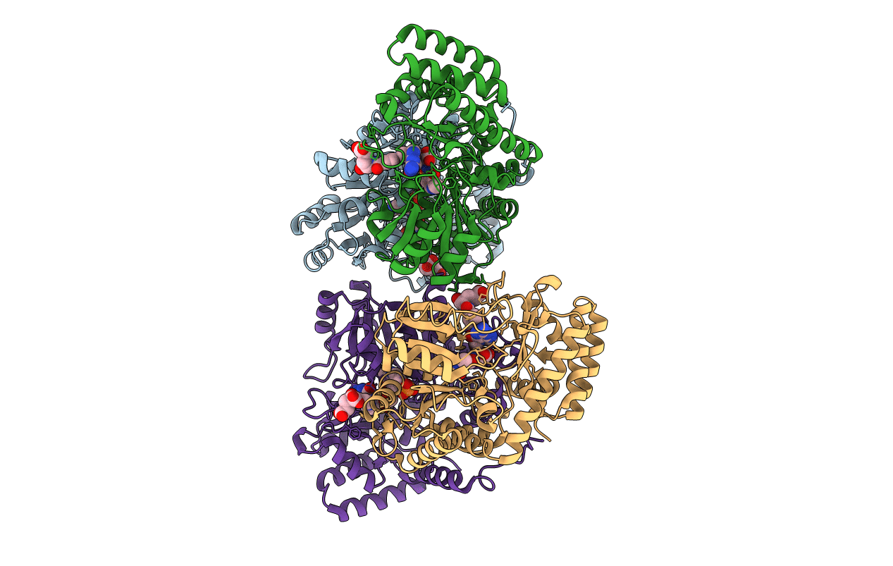 1EQB image