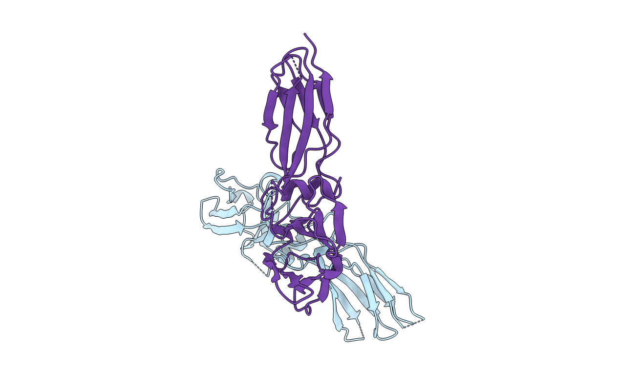 1ERN image