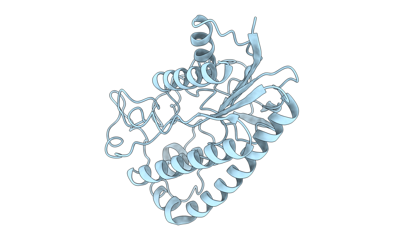 1ESC image