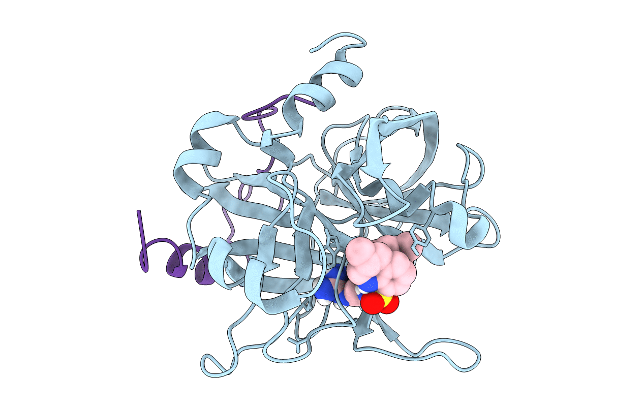 1ETR image
