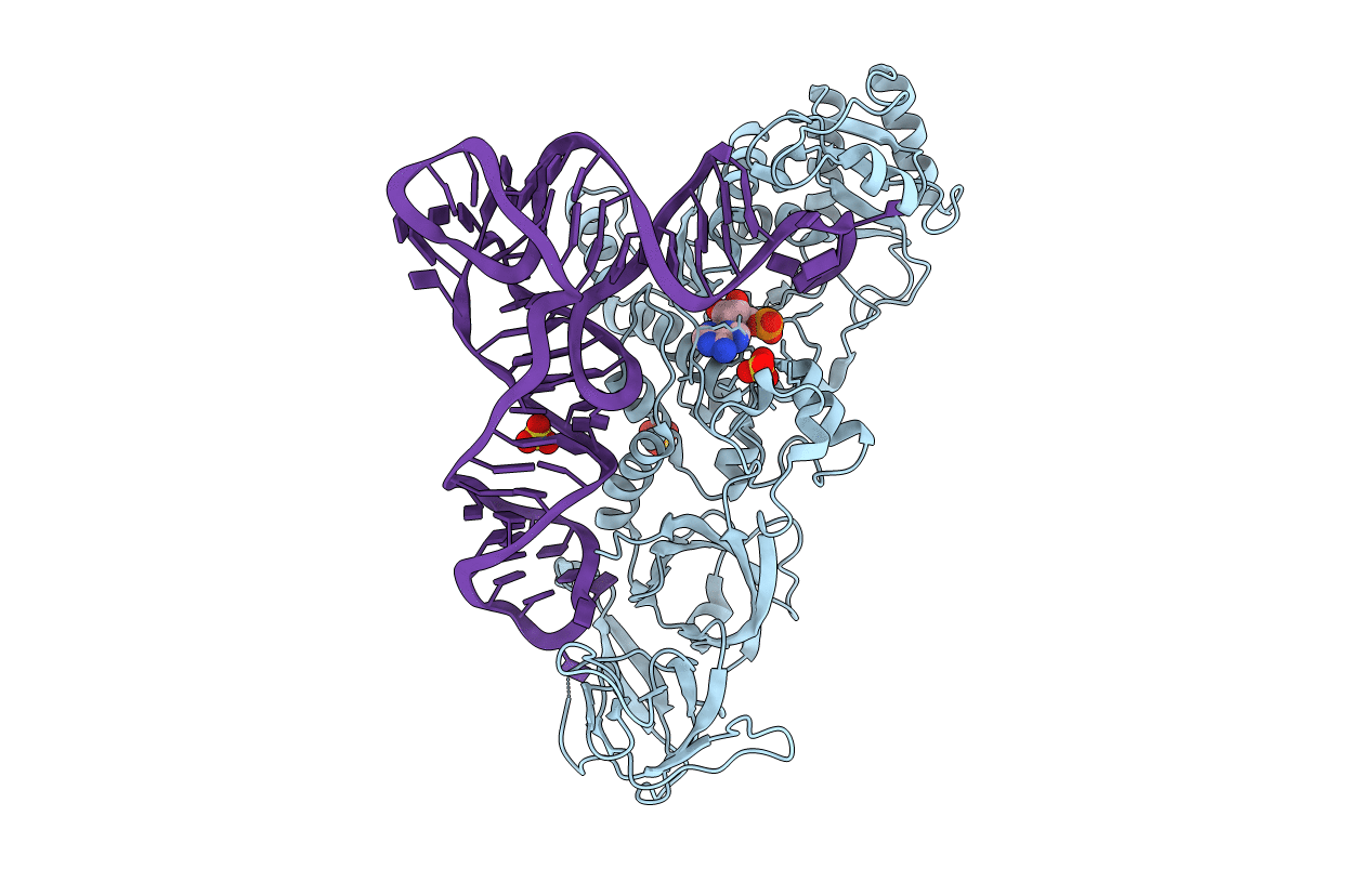 1EXD image