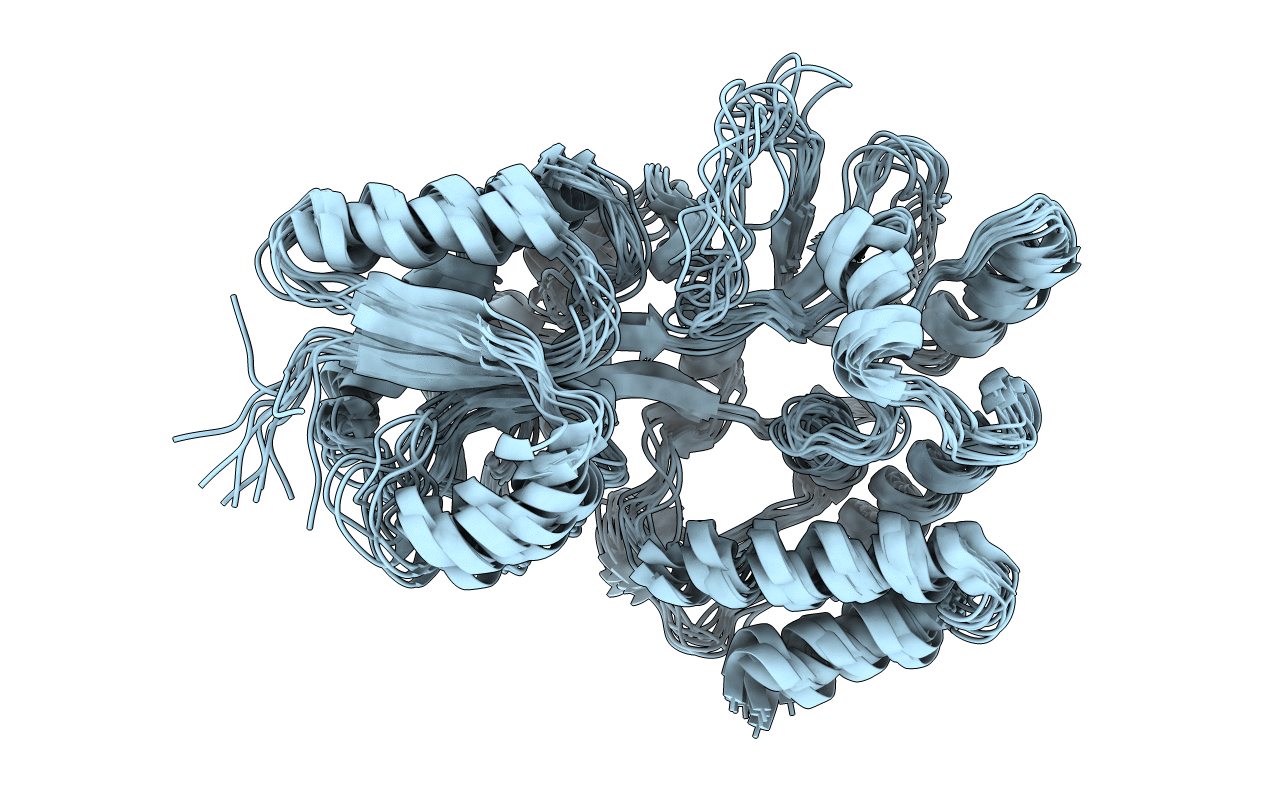 1EZP image