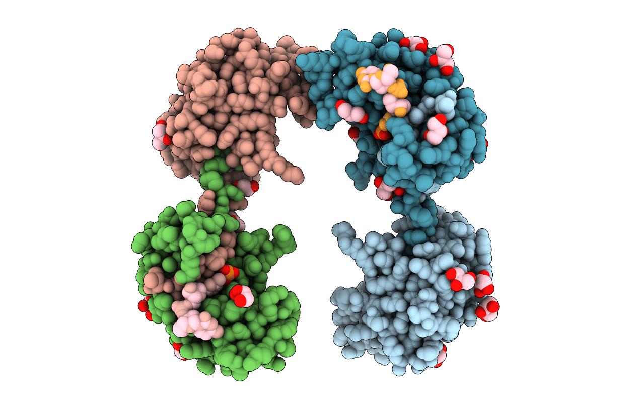 1F0V image