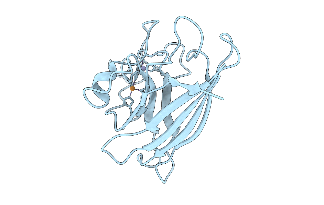 1F1A image