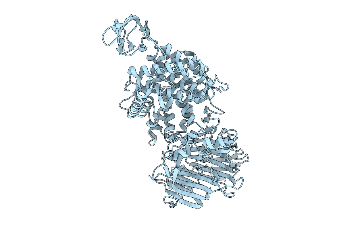 1f1s image