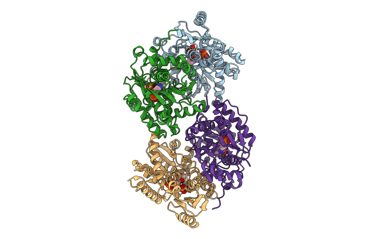 1F2D image