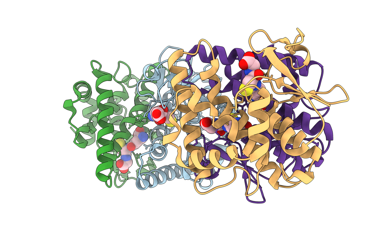 1F2E image