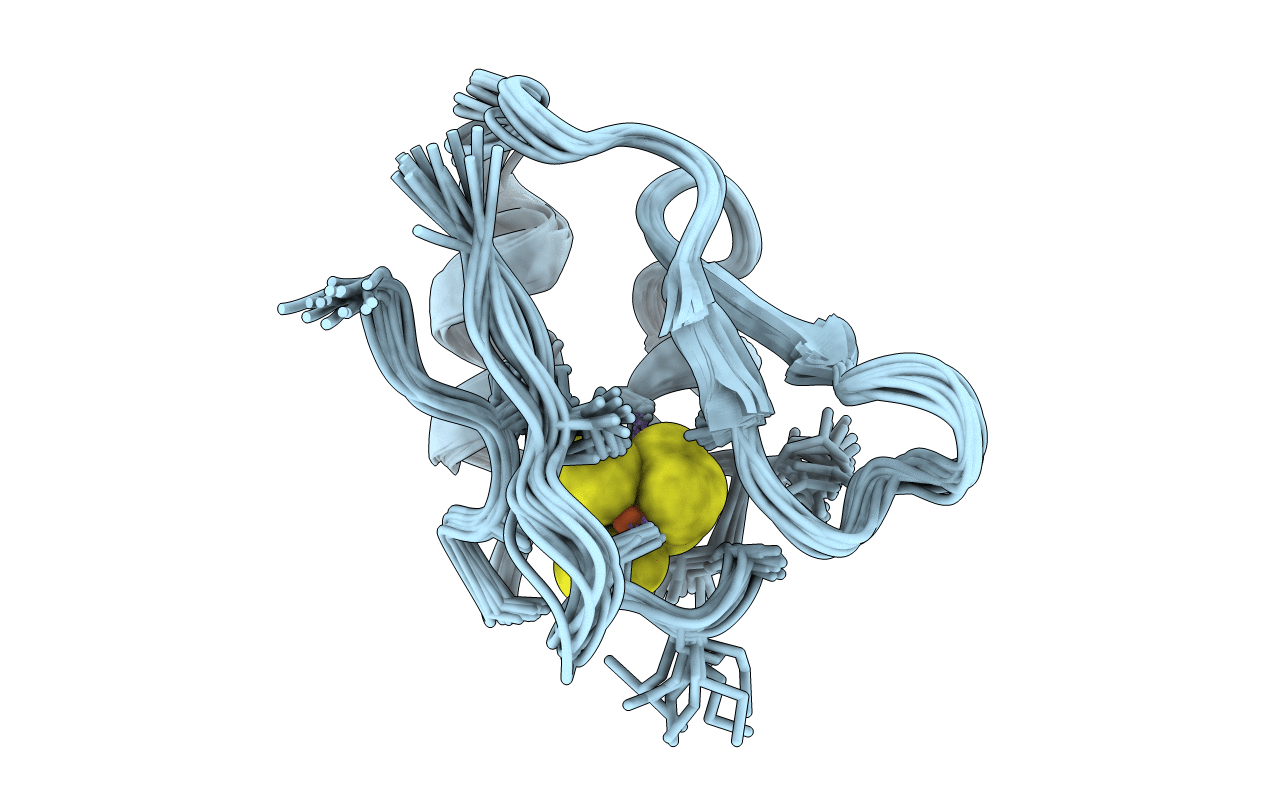 1F2G image