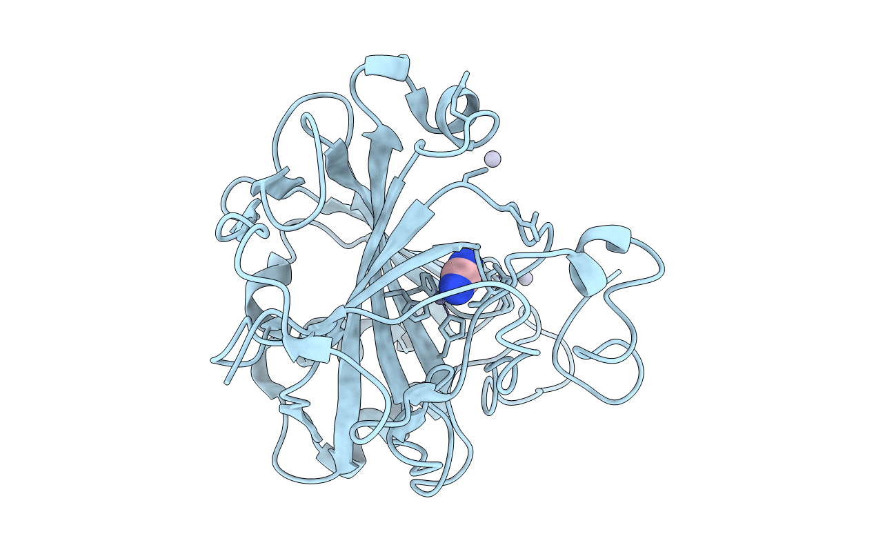 1F2W image