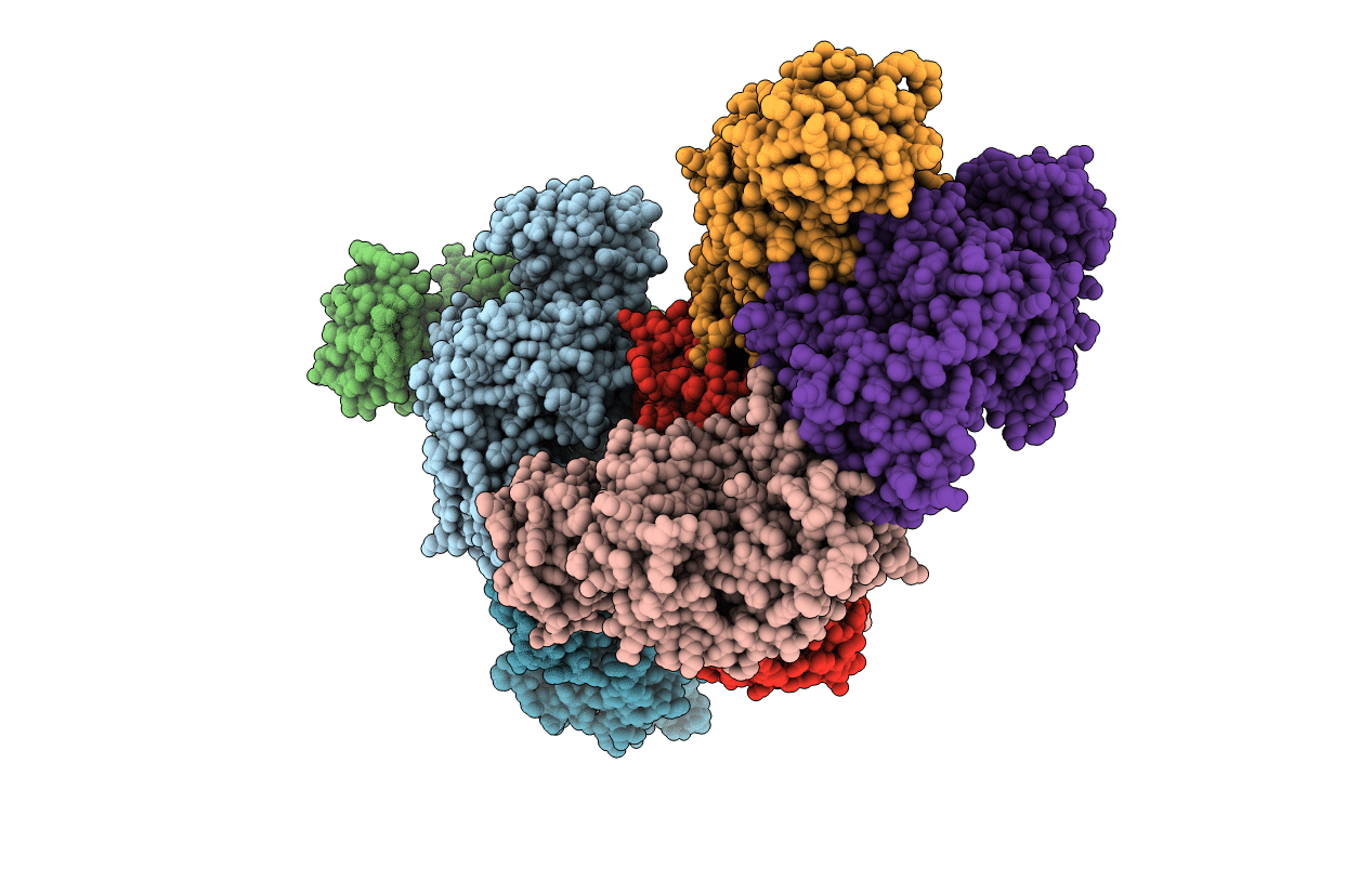1F3X image