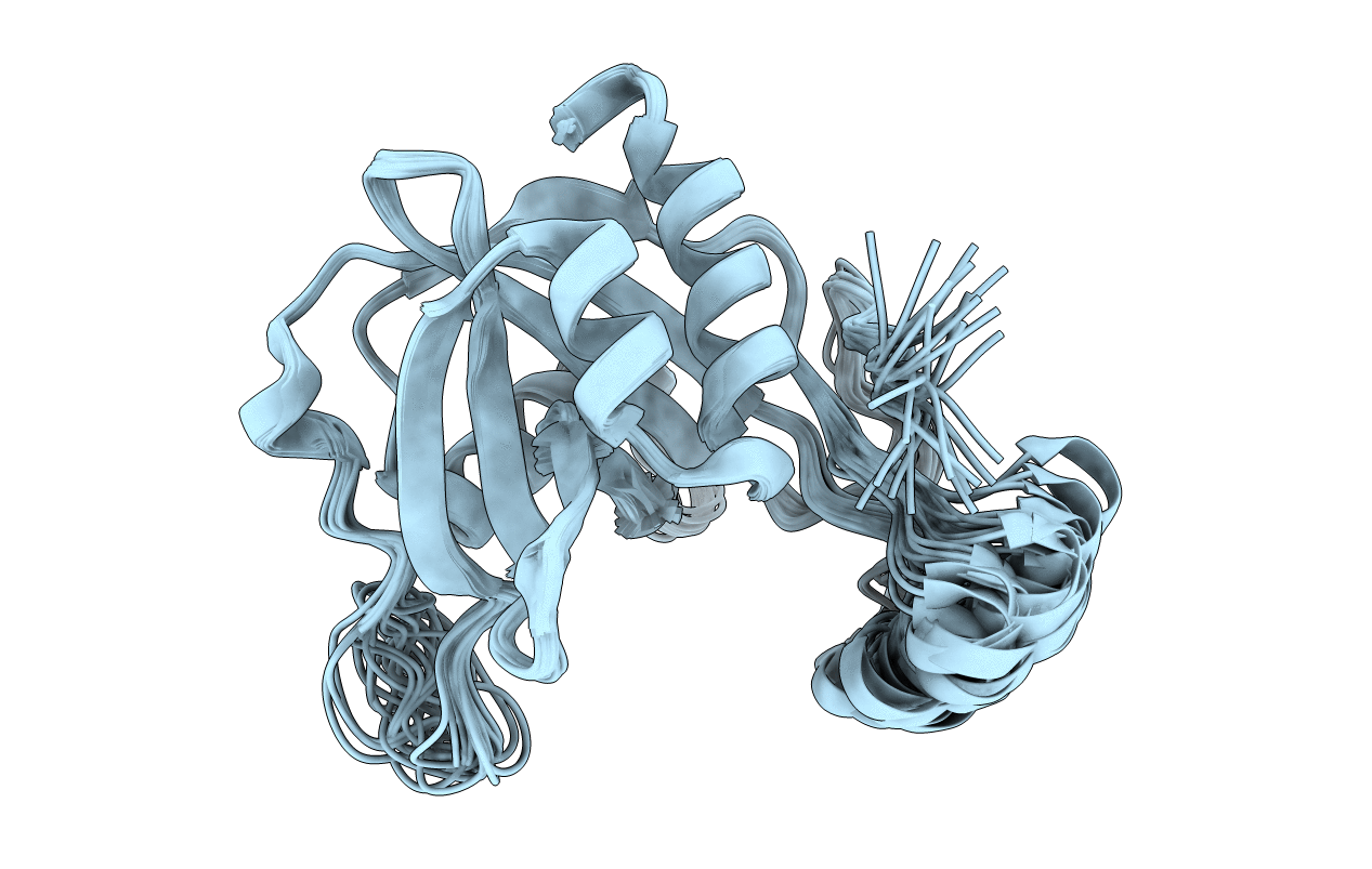 1F3Y image