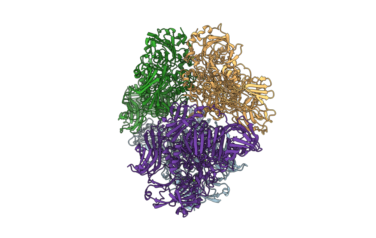 1F4H image