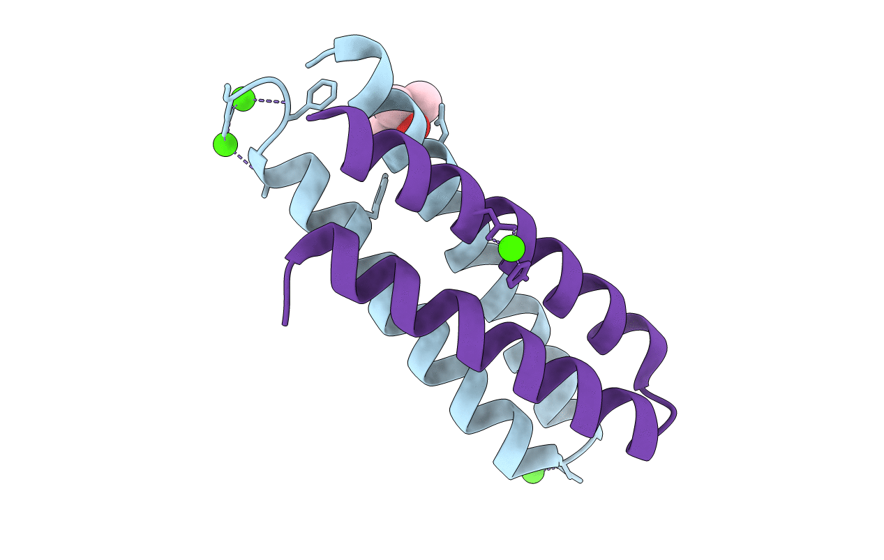 1F4N image