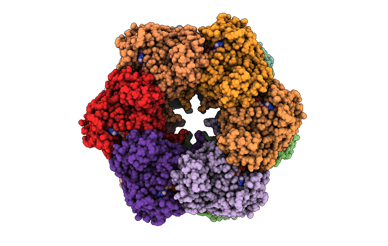 1F52 image