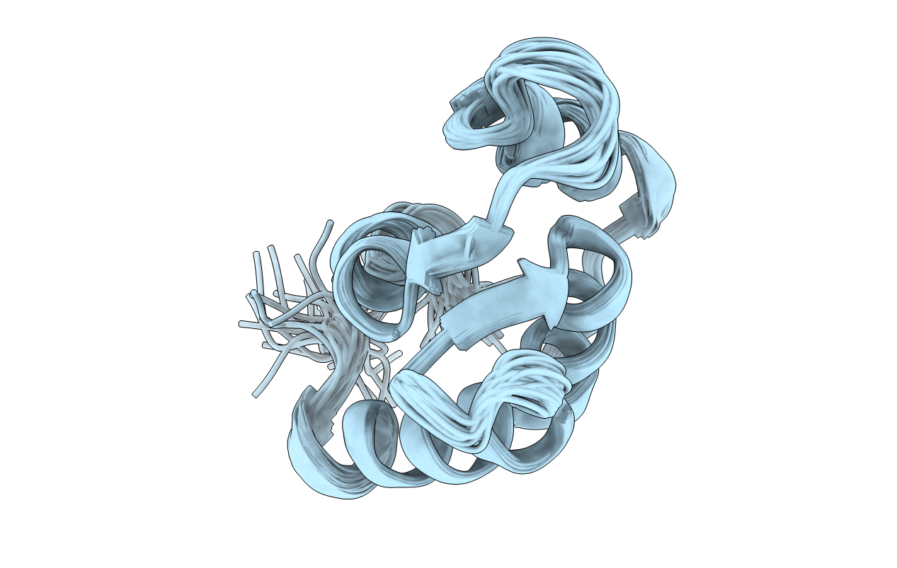 1F54 image