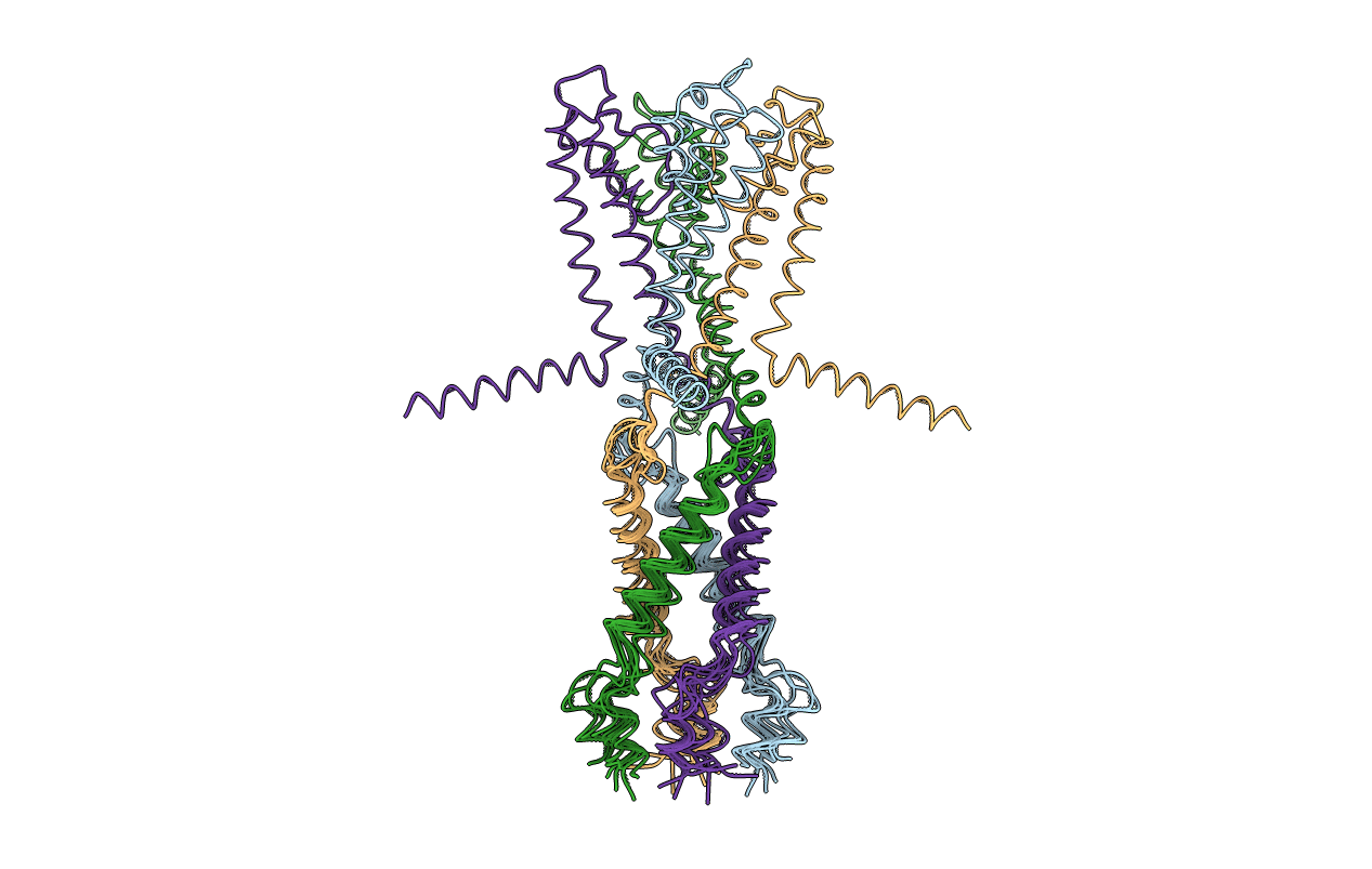 1F6G image