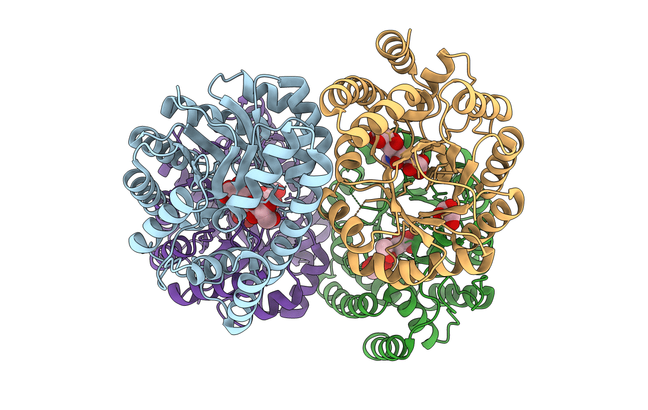 1F73 image