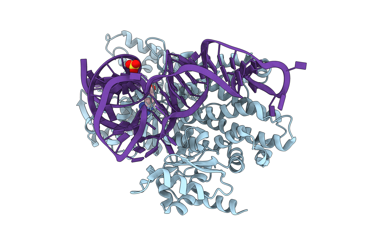 1F7U image