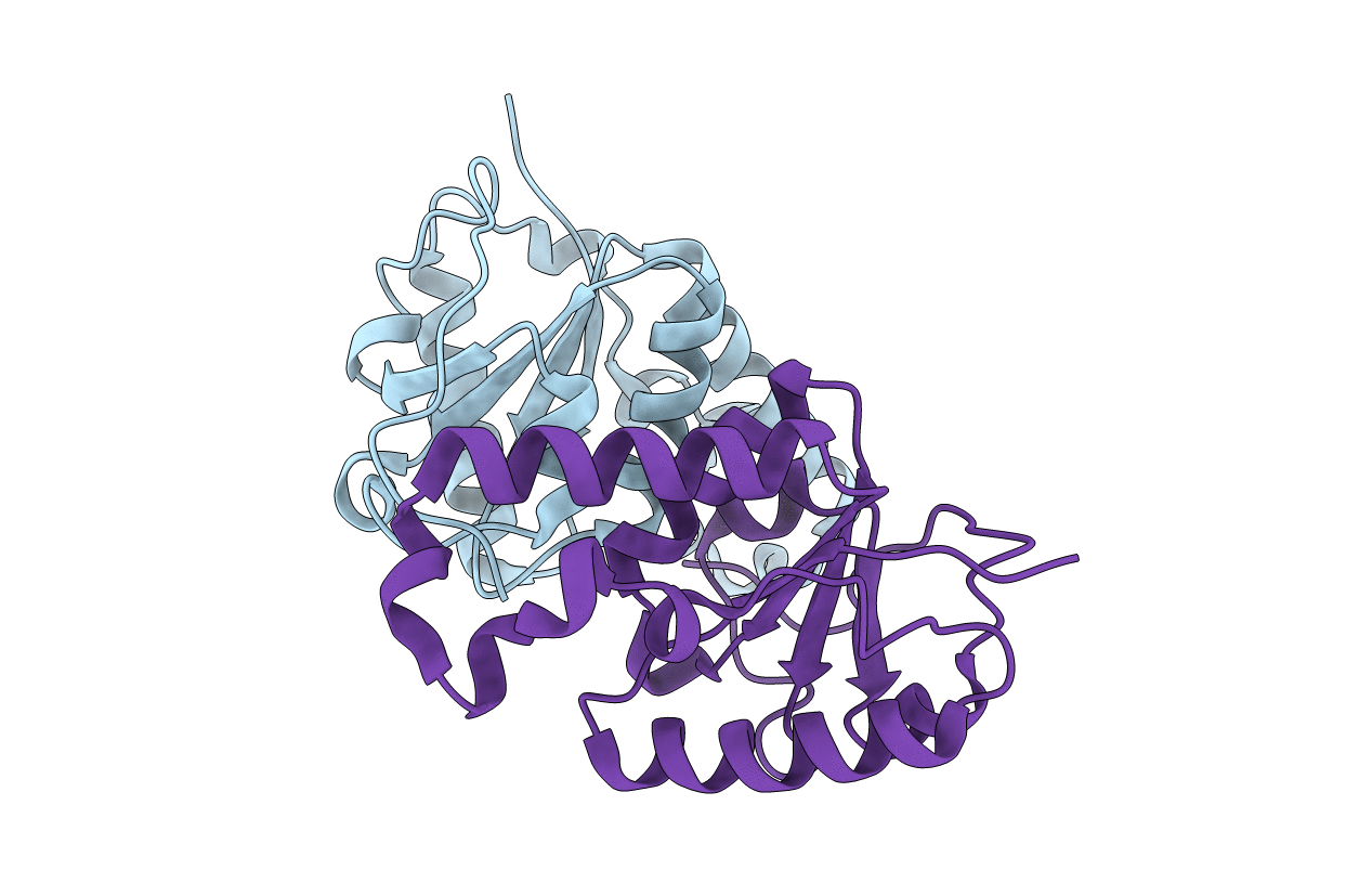 1F8X image