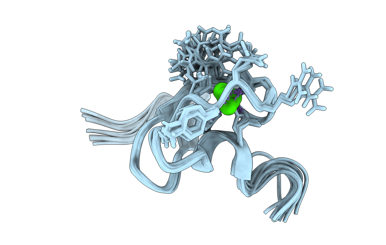 1F8Z image
