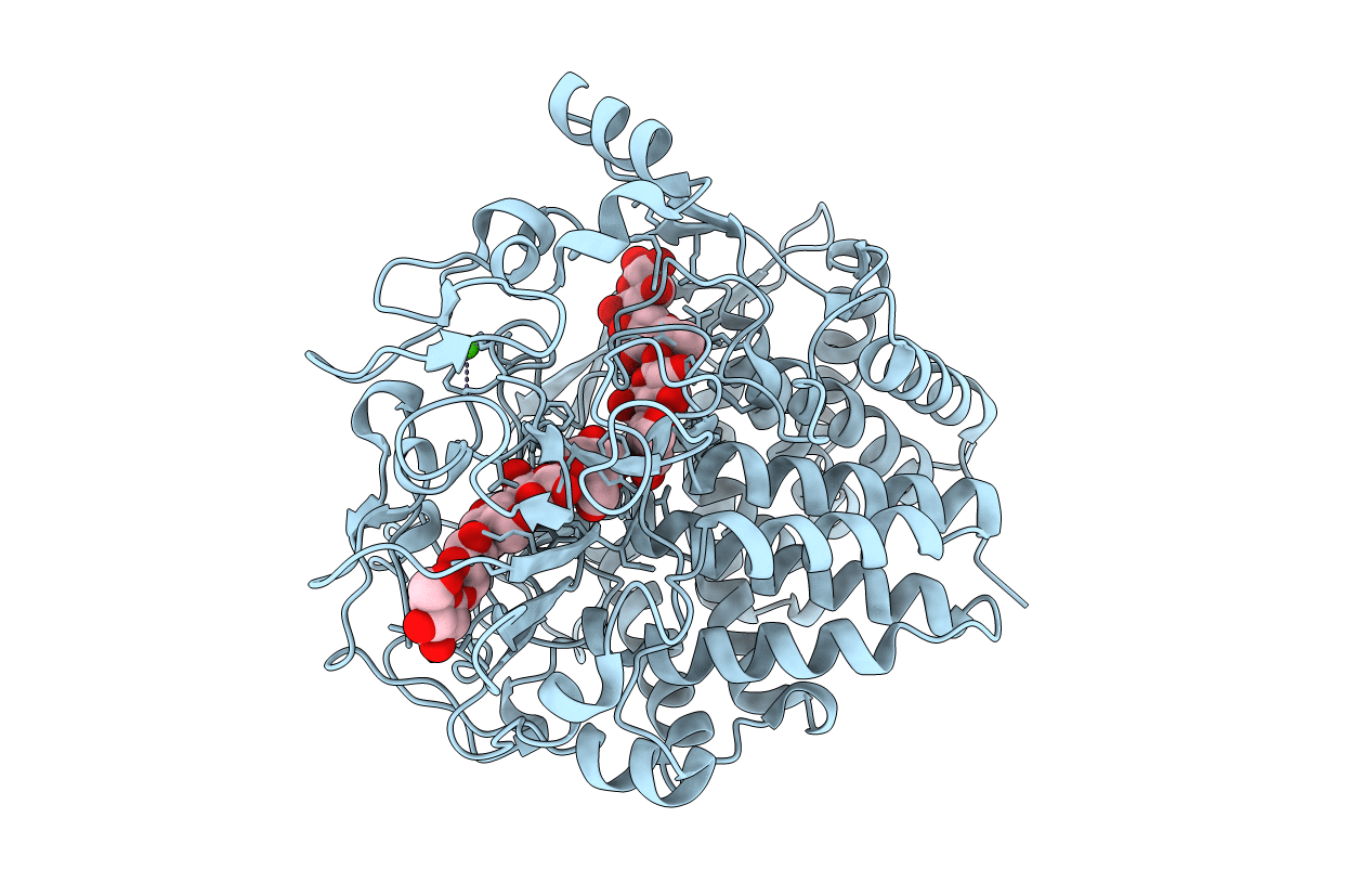 1F9D image