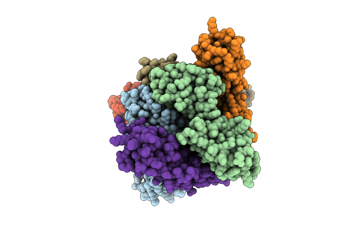 1F9N image
