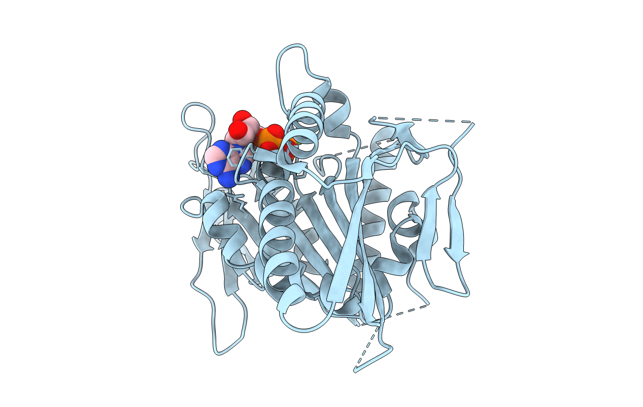 1F9T image