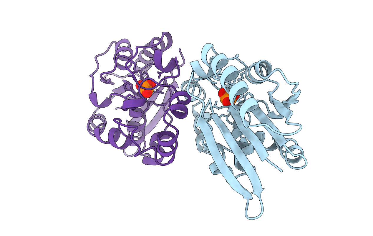 1FBT image