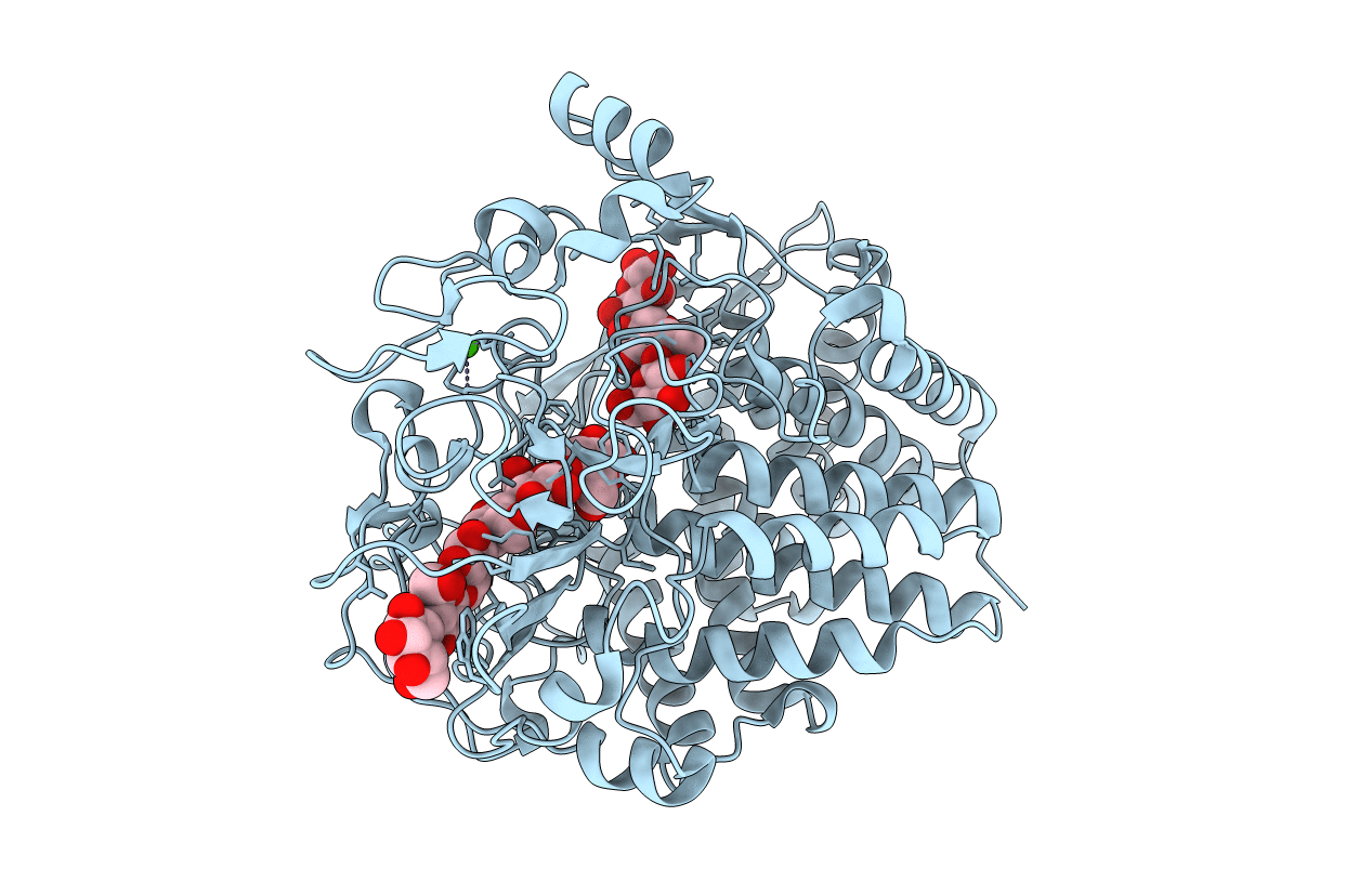 1FBW image