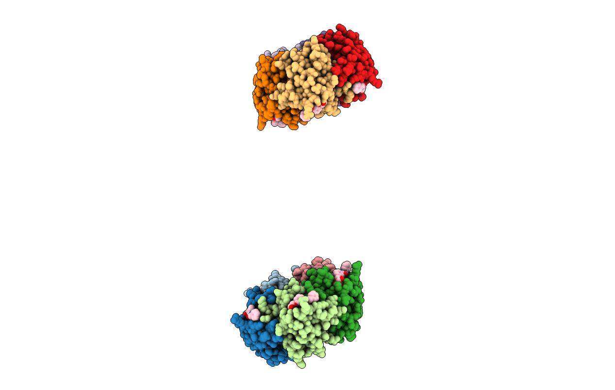 1FD7 image