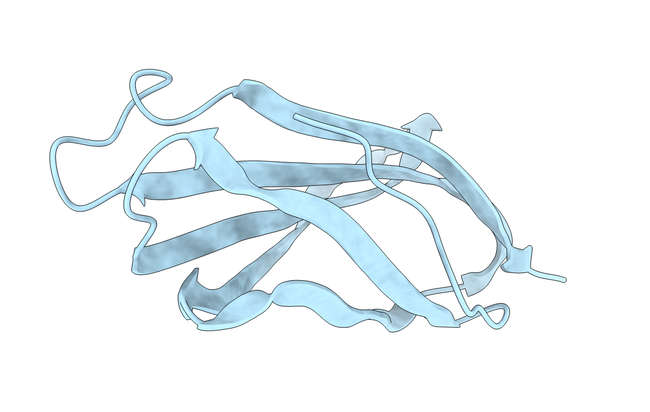 1FNA image