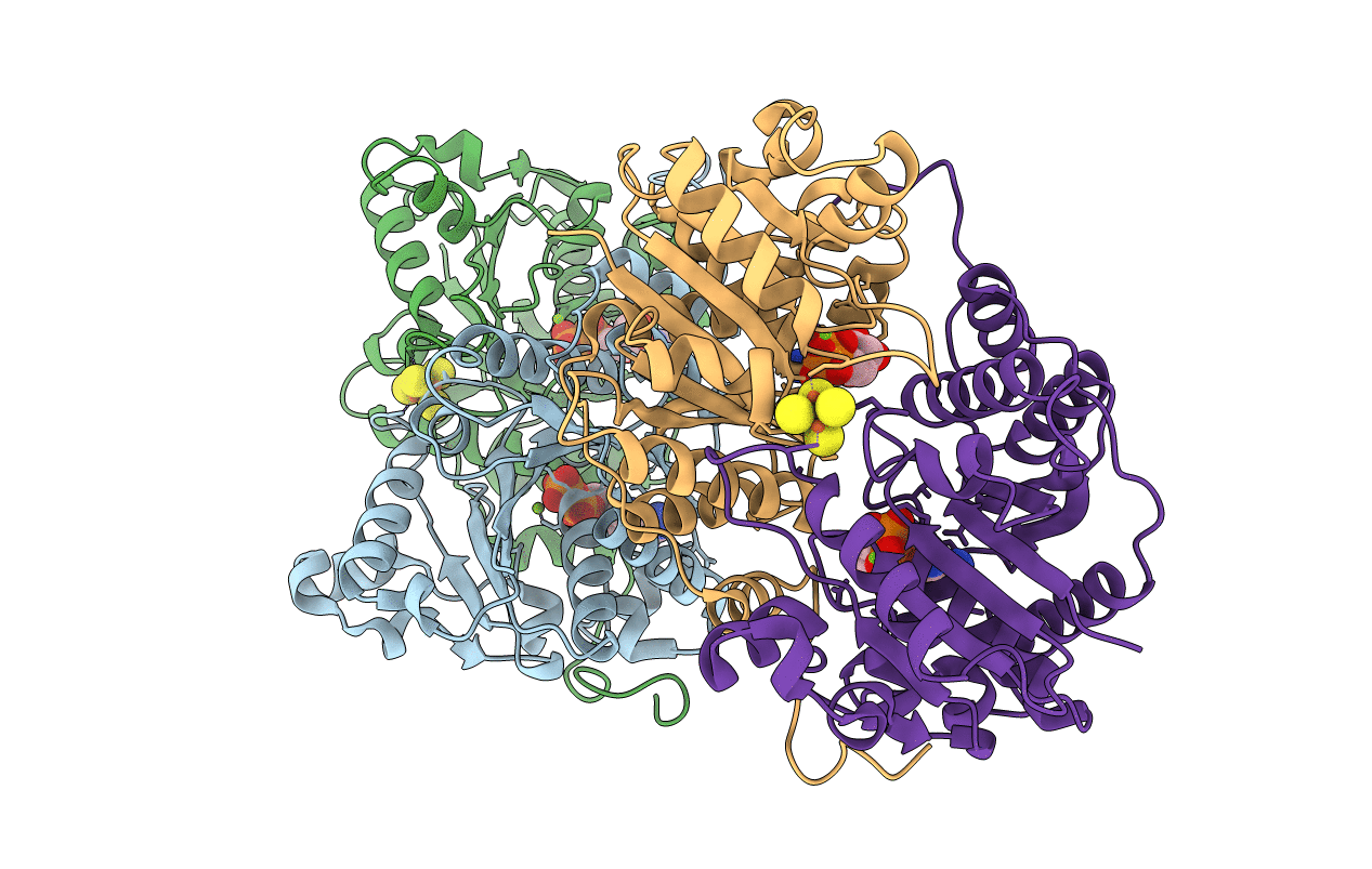 1FP6 image