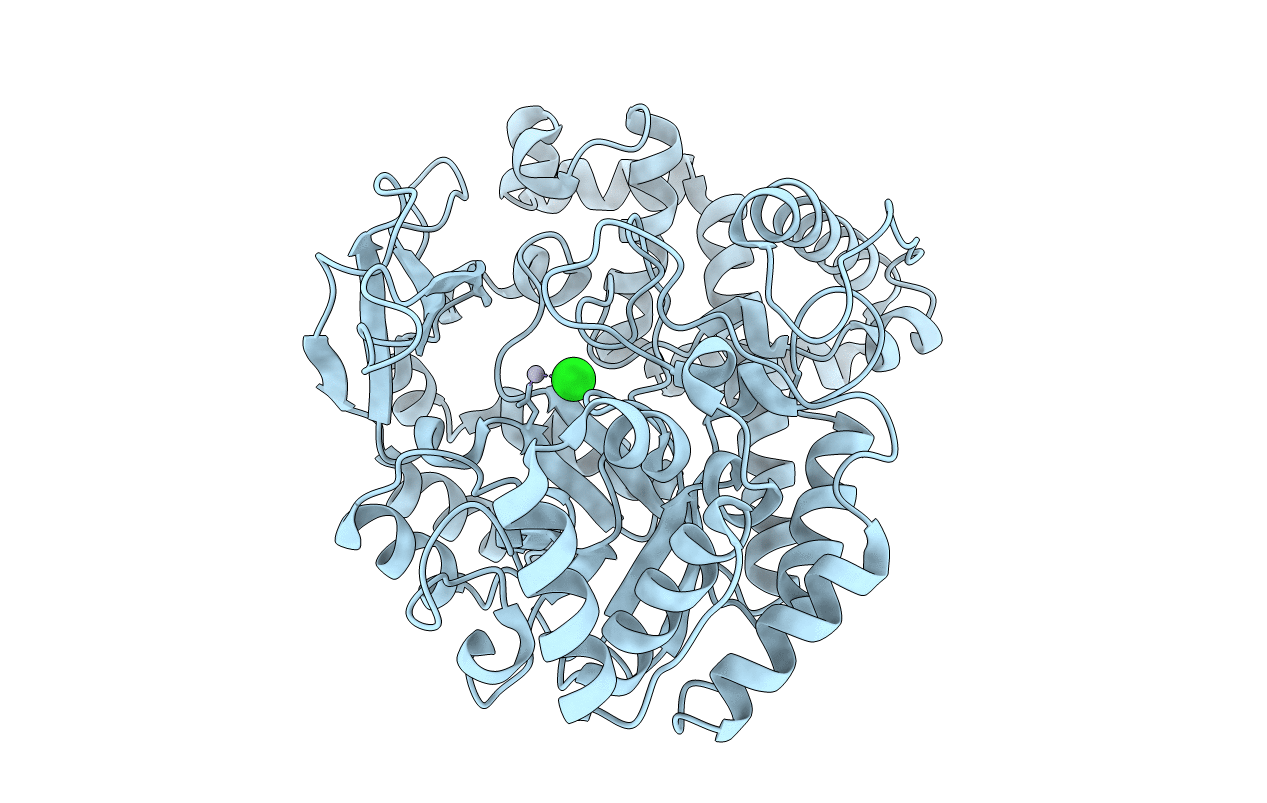 1FP8 image