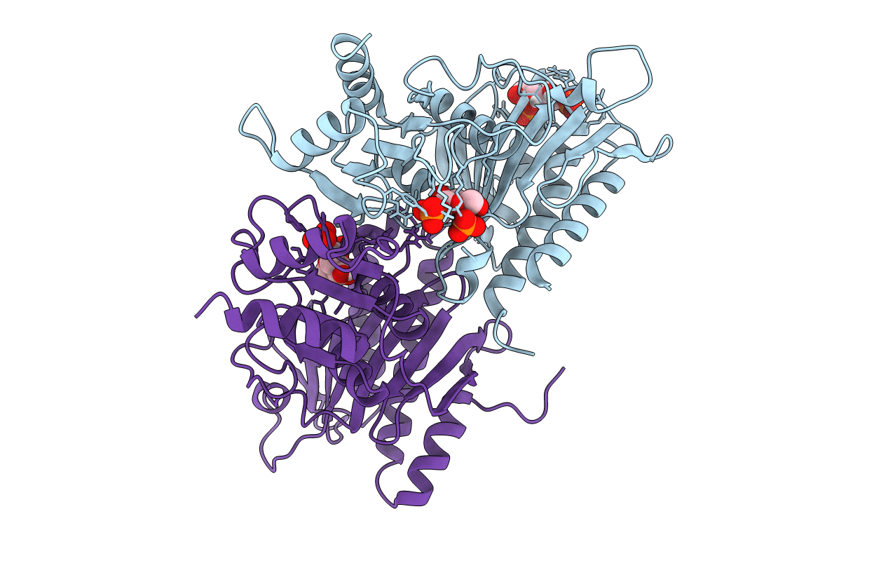 1FPB image
