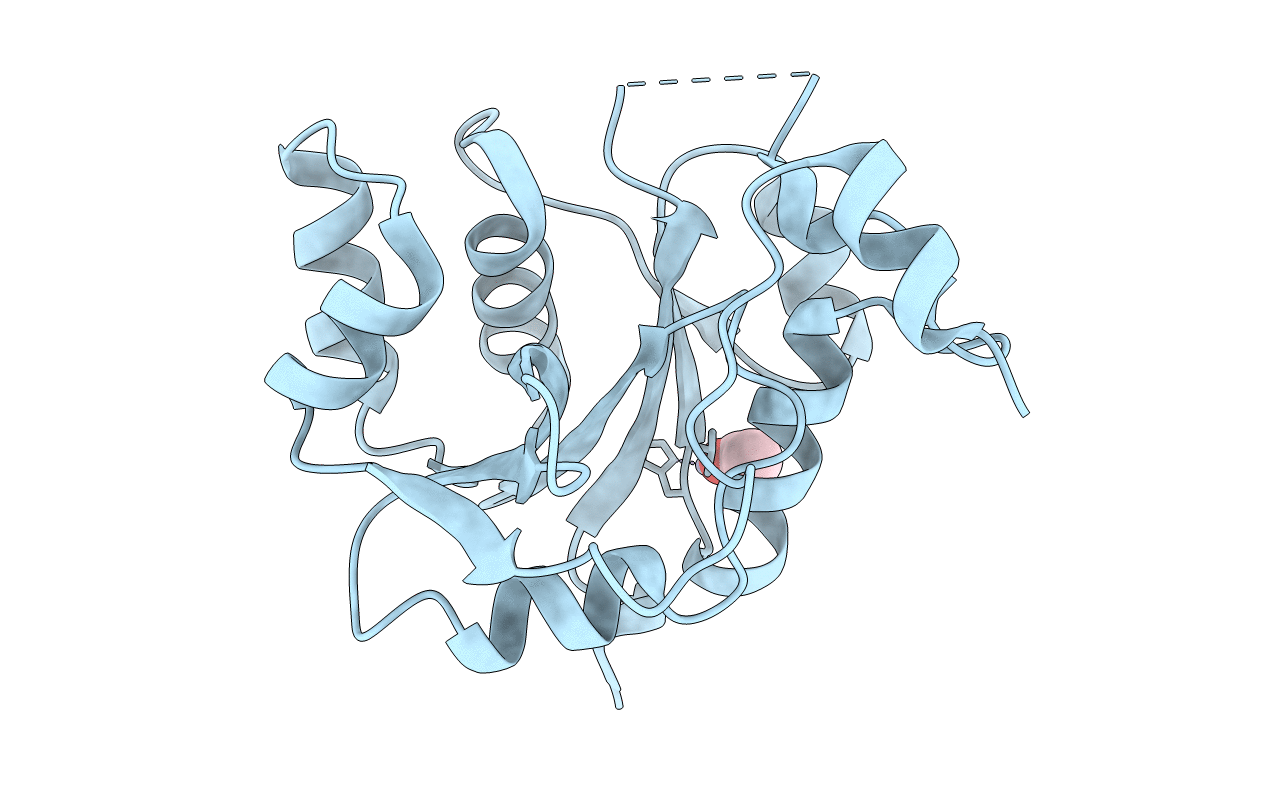 1FR9 image