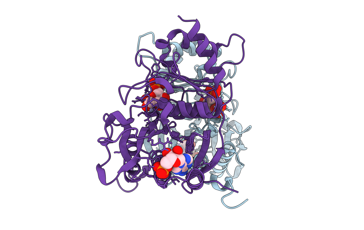 1FRP image