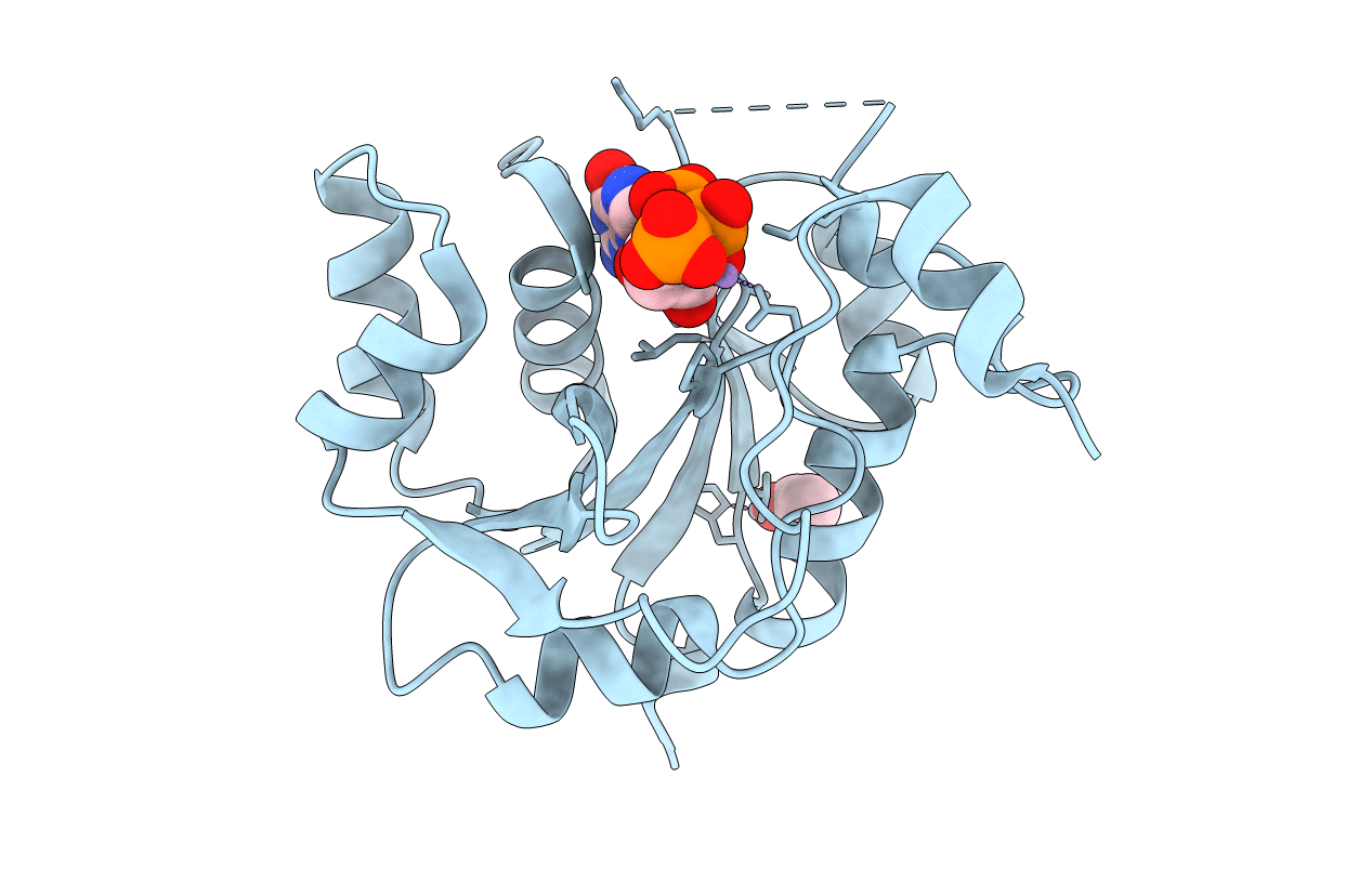 1FRW image