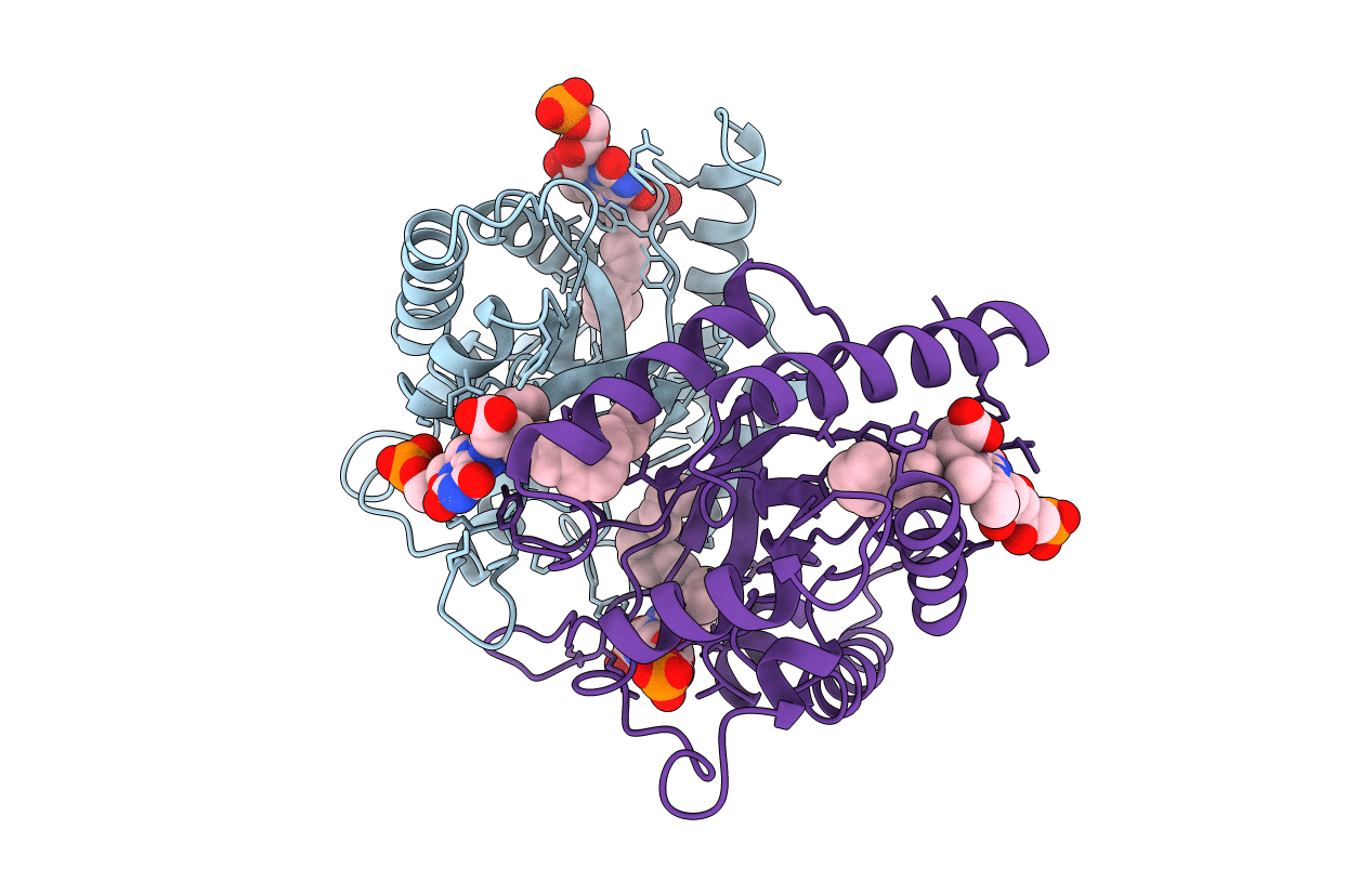 1FVP image