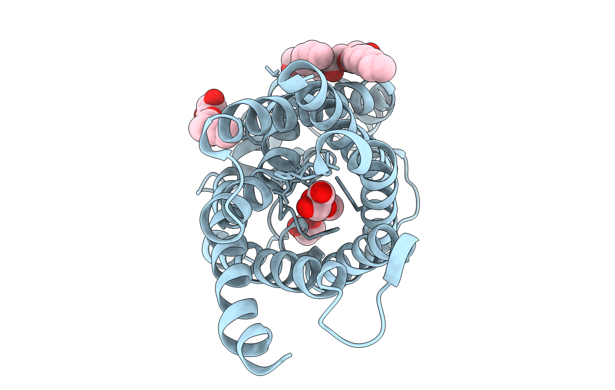 1fx8 image