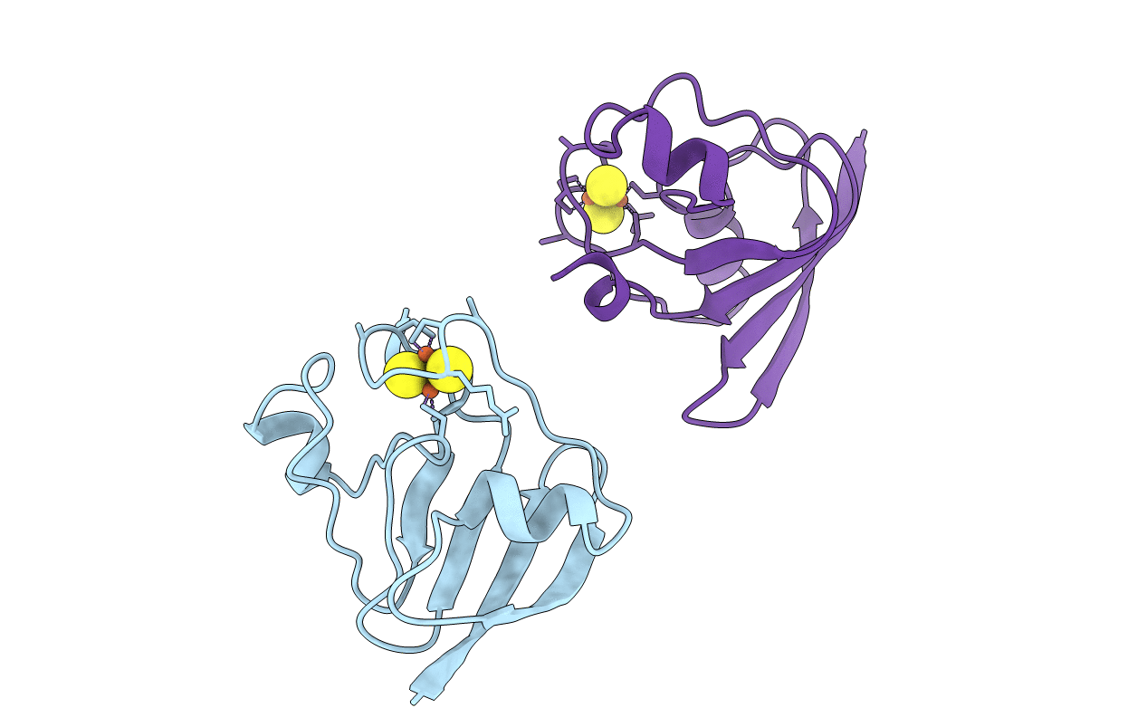 1FXA image