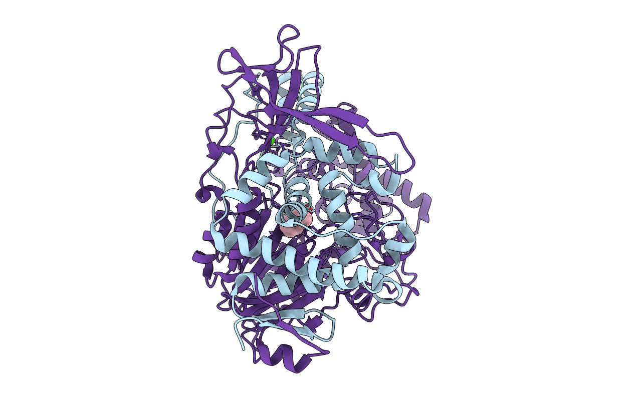 1FXH image